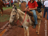 6ª Cavalgada a Nossa Senhora Aparecida em Maracaju