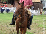 6ª Cavalgada a Nossa Senhora Aparecida em Maracaju