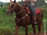 6ª Cavalgada a Nossa Senhora Aparecida em Maracaju