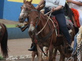 6ª Cavalgada a Nossa Senhora Aparecida em Maracaju