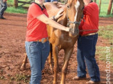 6ª Cavalgada a Nossa Senhora Aparecida em Maracaju