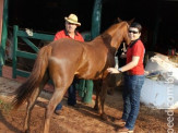 6ª Cavalgada a Nossa Senhora Aparecida em Maracaju