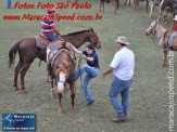 6ª Cavalgada a Nossa Senhora Aparecida em Maracaju