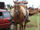 6ª Cavalgada a Nossa Senhora Aparecida em Maracaju