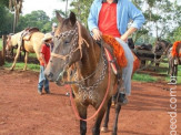 6ª Cavalgada a Nossa Senhora Aparecida em Maracaju