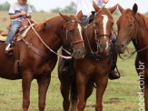 6ª Cavalgada a Nossa Senhora Aparecida em Maracaju