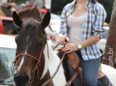 6ª Cavalgada a Nossa Senhora Aparecida em Maracaju