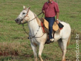 6ª Cavalgada a Nossa Senhora Aparecida em Maracaju