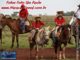 6ª Cavalgada a Nossa Senhora Aparecida em Maracaju