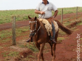 6ª Cavalgada a Nossa Senhora Aparecida em Maracaju