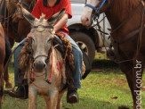 6ª Cavalgada a Nossa Senhora Aparecida em Maracaju