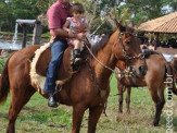 6ª Cavalgada a Nossa Senhora Aparecida em Maracaju