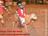 Rodeio 2012 3º dia