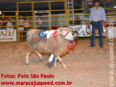 Atualizado: Rodeio 2012 2º dia