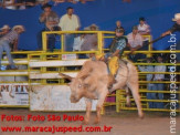 Rodeio 2012 3º dia