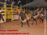 Rodeio 2012 3º dia