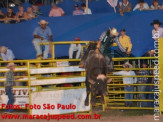 Atualizado: Rodeio 2012 2º dia