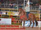 Atualizado: Rodeio 2012 2º dia