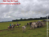 Curso de Doma realizado na Fazenda Deserto