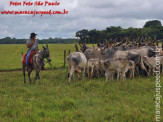 Curso de Doma realizado na Fazenda Deserto