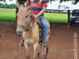 Curso de Doma realizado na Fazenda Deserto