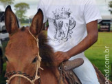 Curso de Doma realizado na Fazenda Deserto