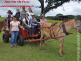 Curso de Doma realizado na Fazenda Deserto