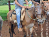 Curso de Doma realizado na Fazenda Deserto