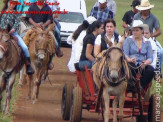 Curso de Doma realizado na Fazenda Deserto