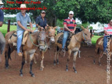 Curso de Doma realizado na Fazenda Deserto