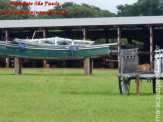 Curso de Doma realizado na Fazenda Deserto