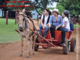 Curso de Doma realizado na Fazenda Deserto