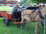 Curso de Doma realizado na Fazenda Deserto