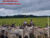 Curso de Doma realizado na Fazenda Deserto