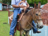 Curso de Doma realizado na Fazenda Deserto