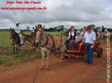 Curso de Doma realizado na Fazenda Deserto