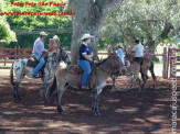 Curso de Doma realizado na Fazenda Deserto