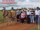 Curso de Doma realizado na Fazenda Deserto