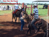 Curso de Doma realizado na Fazenda Deserto