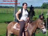 Curso de Doma realizado na Fazenda Deserto