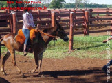 Curso de Doma realizado na Fazenda Deserto