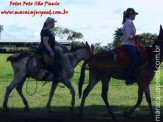 Curso de Doma realizado na Fazenda Deserto