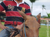 Curso de Doma realizado na Fazenda Deserto