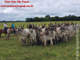 Curso de Doma realizado na Fazenda Deserto