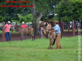 Curso de Doma realizado na Fazenda Deserto