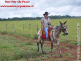 Curso de Doma realizado na Fazenda Deserto