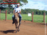 Curso de Doma realizado na Fazenda Deserto