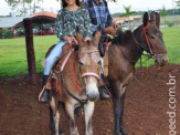 Curso de Doma realizado na Fazenda Deserto