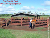 Curso de Doma realizado na Fazenda Deserto