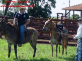 Curso de Doma realizado na Fazenda Deserto